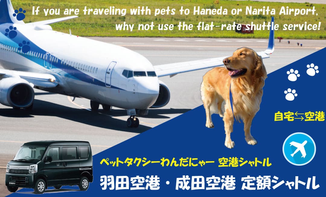 ペットタクシー空港シャトル